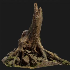 quixel megascans tree stump objekti