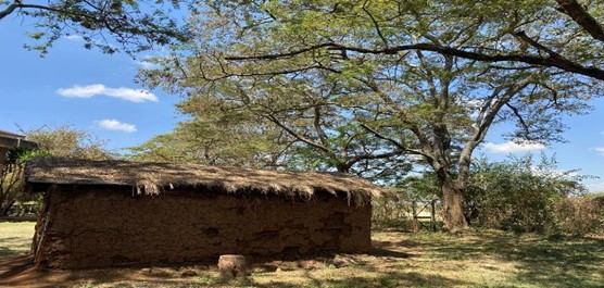 The houses of Maasai Tribe, called Enkaji, built with branch arches covered with several layers of a mixture of soil, urine, & cow dung. Photo taken on the campus of JKUAT with same construction. 