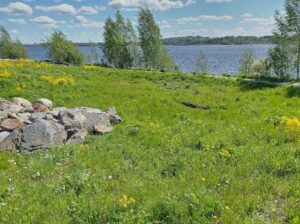 Hiidesjärvi