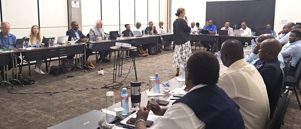 Eija Laitinen speaking to African stakeholders in a meeting room