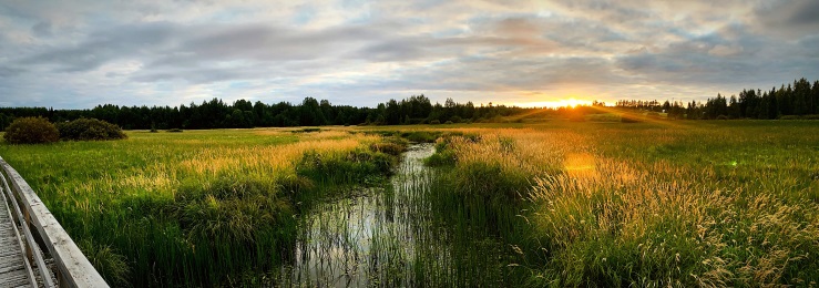 beautiful Finnish landscape
