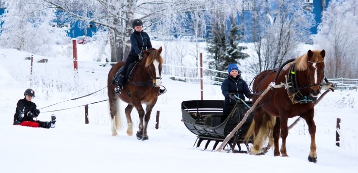 Hevosmatkailua talvisessa Hämeenlinnassa