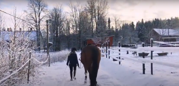 Hevonen ja ratsastaja kävelevät rinnakkain lumisen tallipihan poikki.