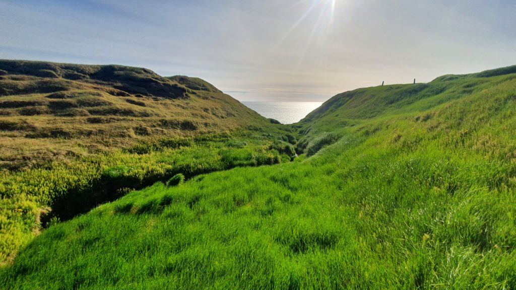 Green field and sea in Iceland