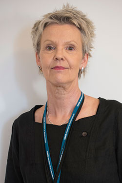 Mervi Friman, strategiapäällikkö, verkosto-, viestintä- ja kv-palvelut