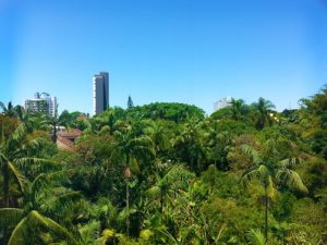 Hotel view