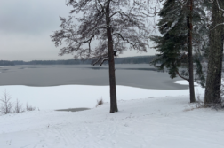 Winter lakeview from Valkeakoski